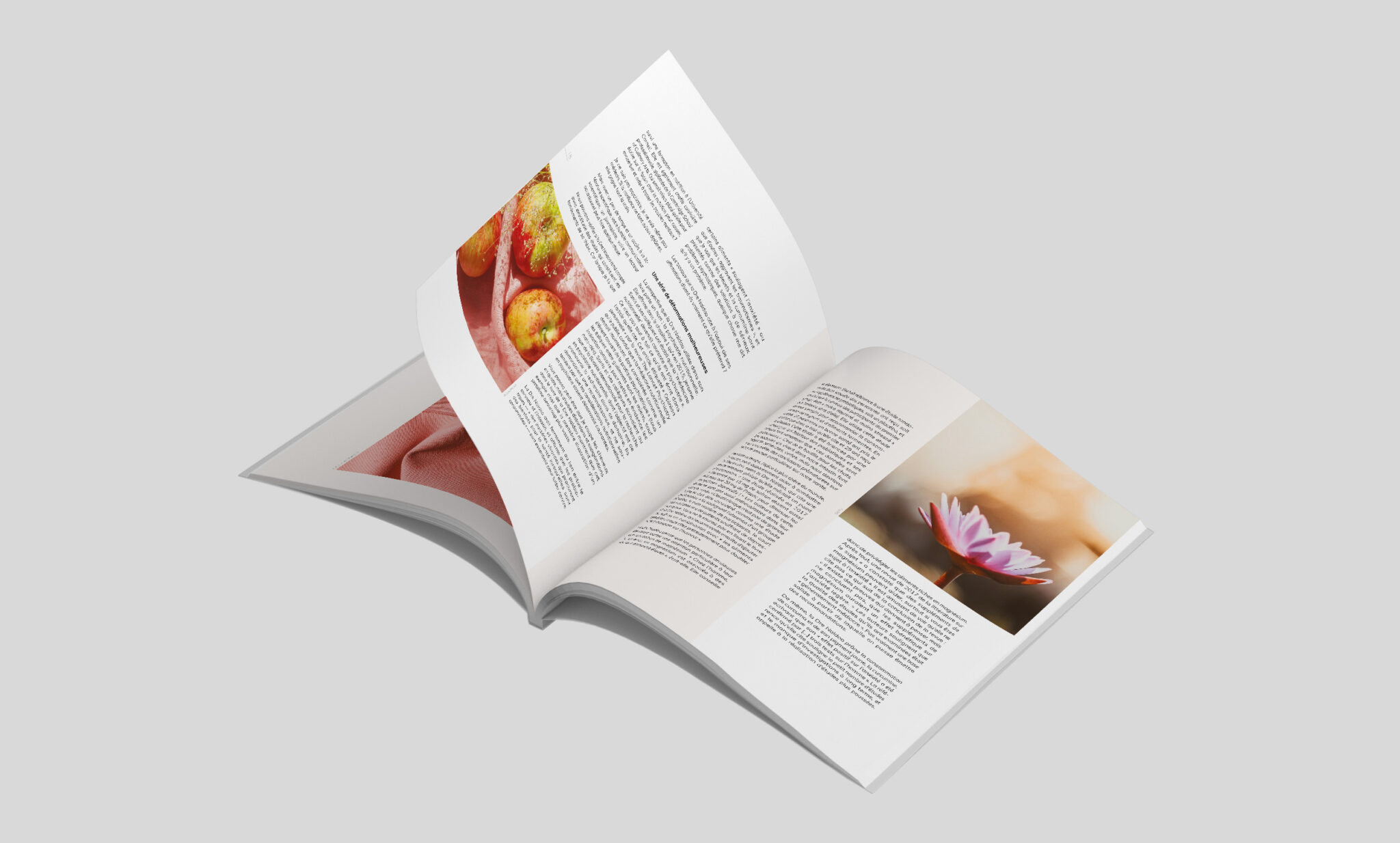 article3-mouvement